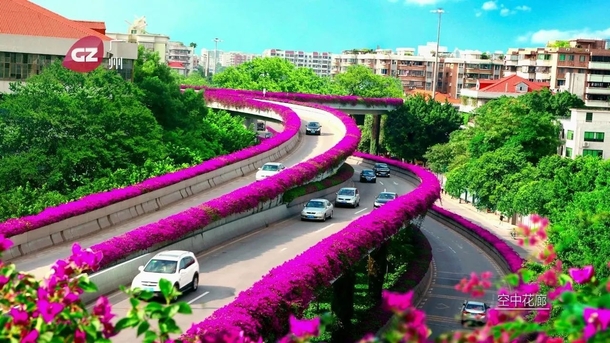 Flower lined highway in Guangzhou
