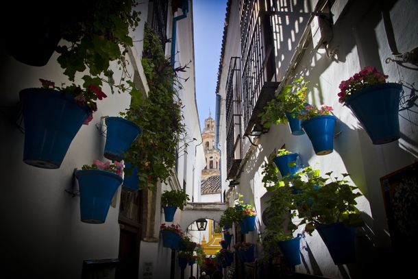 Flowers Street in Cordoba Spain 