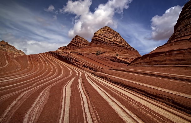 Flowing symmetrical strata revealed by erosion on Coyote Butte North in Arizona  by Danilo Faria