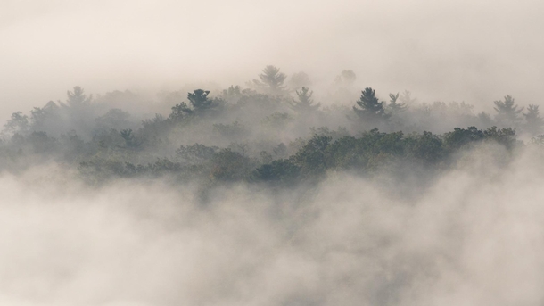 Fog in the Blue Ridge Mountains North Carolina 