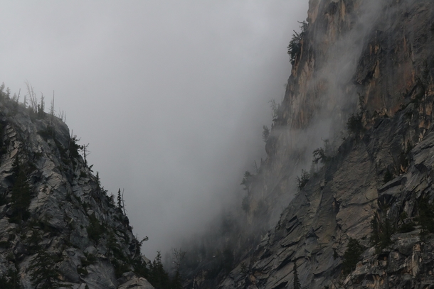 Fog in the mountains North Cascades National Park Washington 