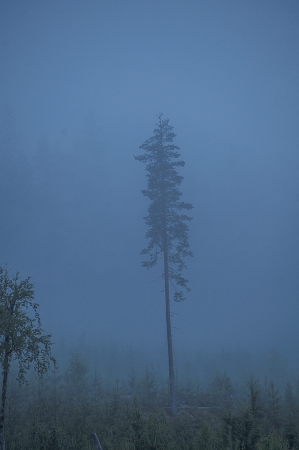 Fog rolling down a mountain at midnight Fulufjllet Sweden 