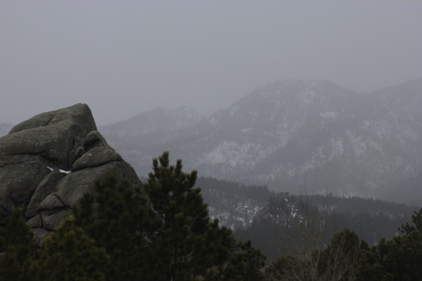 Foggy Day in the Black Hills SD 