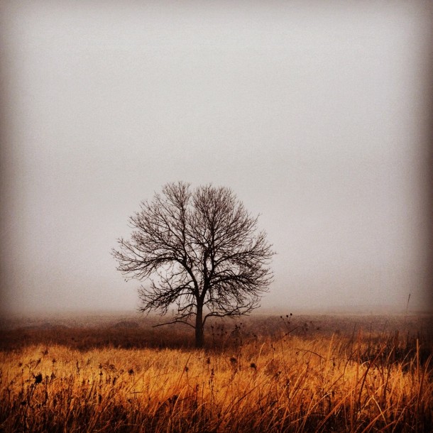Foggy December morning in Nebraska 