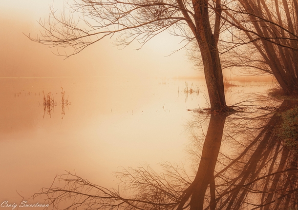Foggy Lake Sunrise Leighton England  x