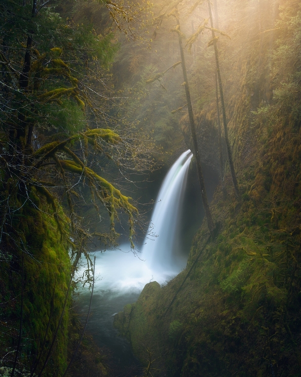 Foggy morning at Metlako Falls located on the Eagle Creek Trail in the Columbia River Gorge OR 