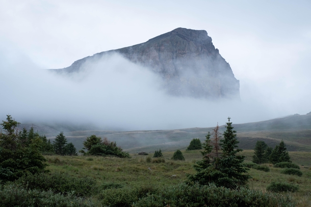 Foggy morning in Colorado 