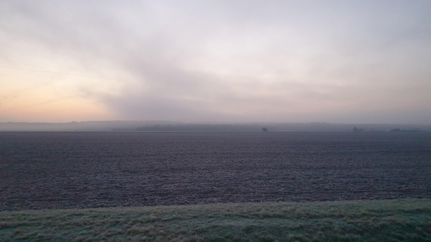 Foggy morning in western Poland 