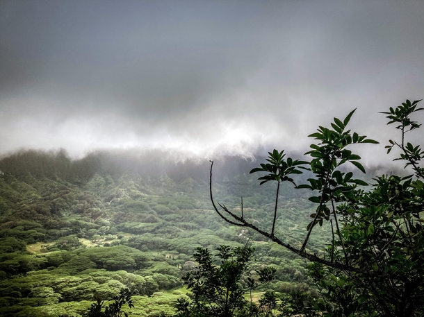 Foggy Mountain Sky - Oahu HI