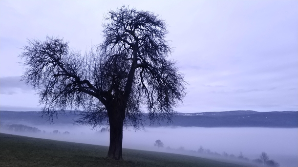 Foggy VD Switzerland 