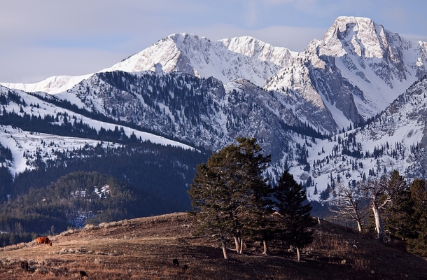 Foothills of the Bridger Mountains in Montana 