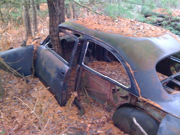 Ford two door sedan in the woods 