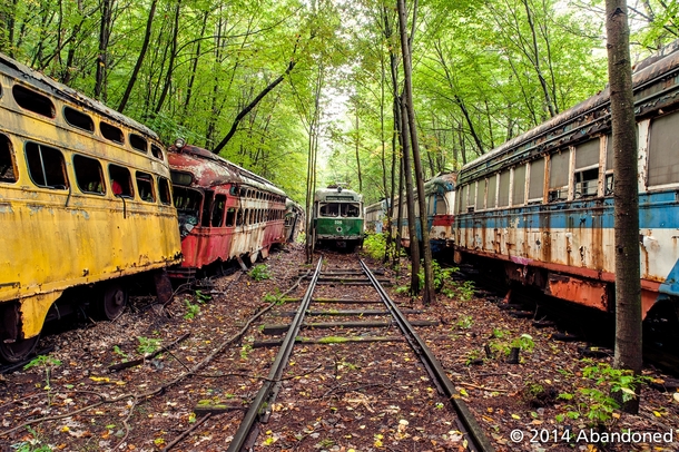 Forest of forgotten streetcars in Pennsylvania  by Sherman