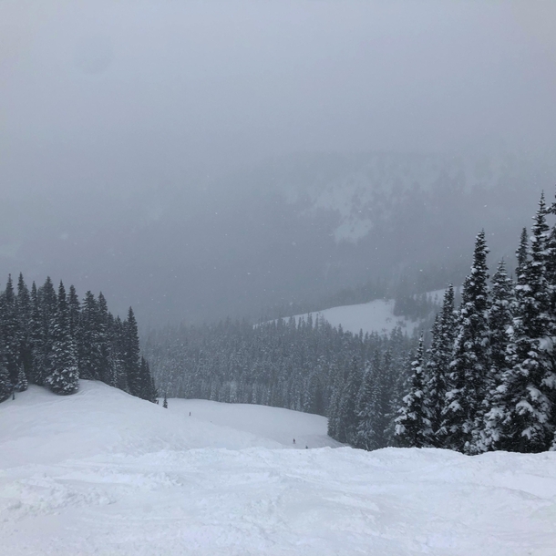 Forest Queen ski run Crystal Mountain Resort in Washington State x 