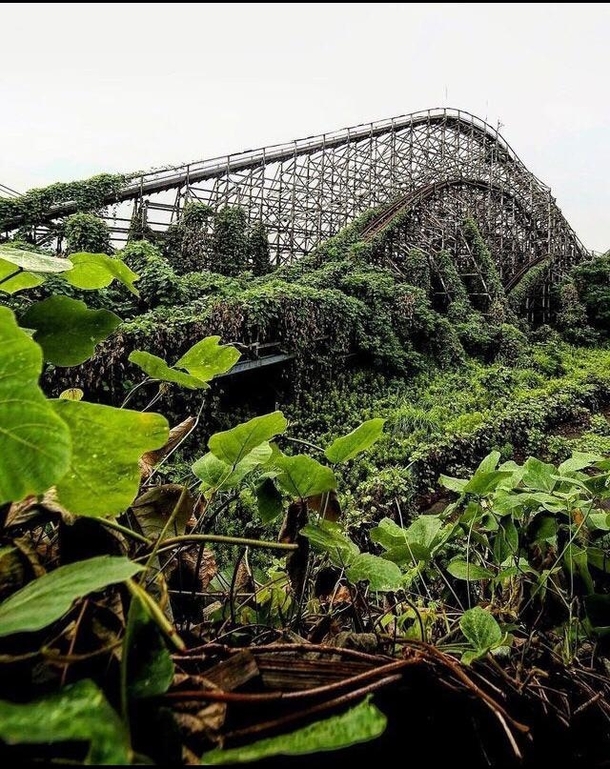 Forest retaking an amusement park Let me know if this has already been posted
