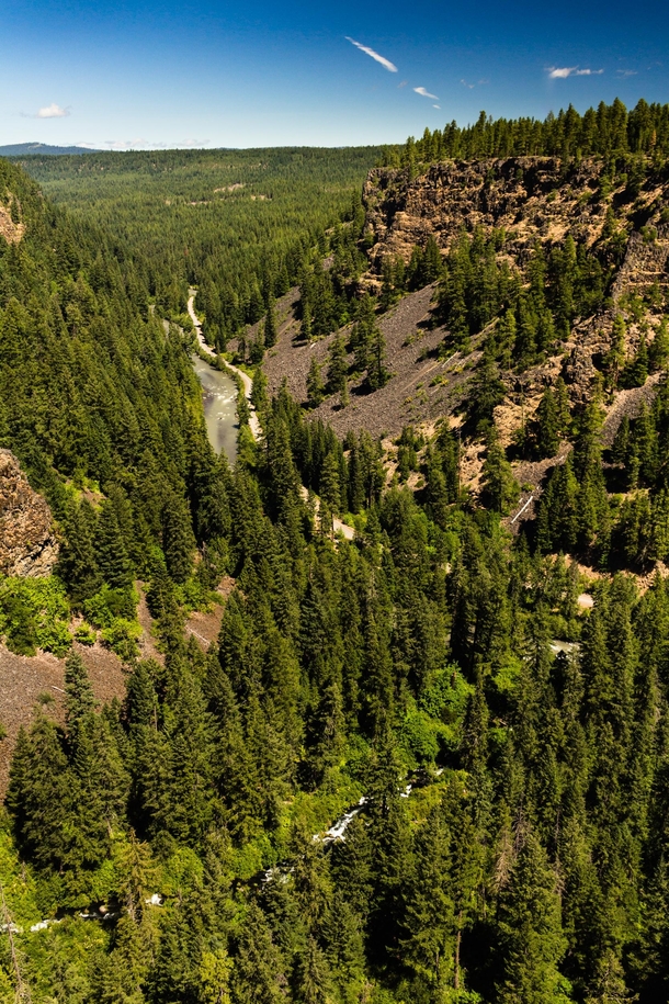 Forested Canyon in the eastern Cascade Range Klickitat Canyon Overlook WA OC  x