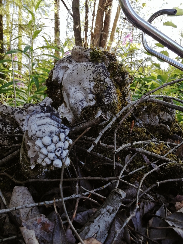 Forgotten moss covered angel statue