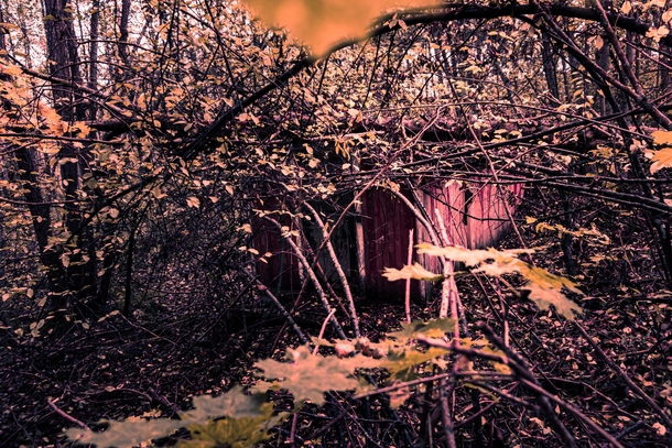 Found an abandoned house deep inside a forest
