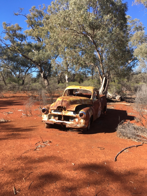 Found in the Australian Outback