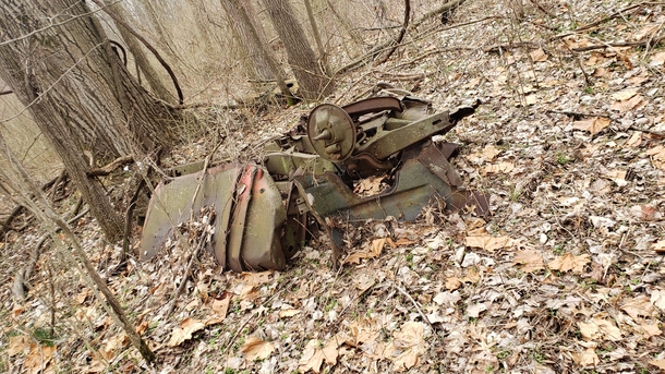 Found in the woods today