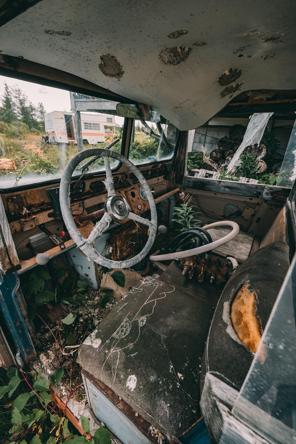 Found this abandoned car Austin Jeep in rural Canada 