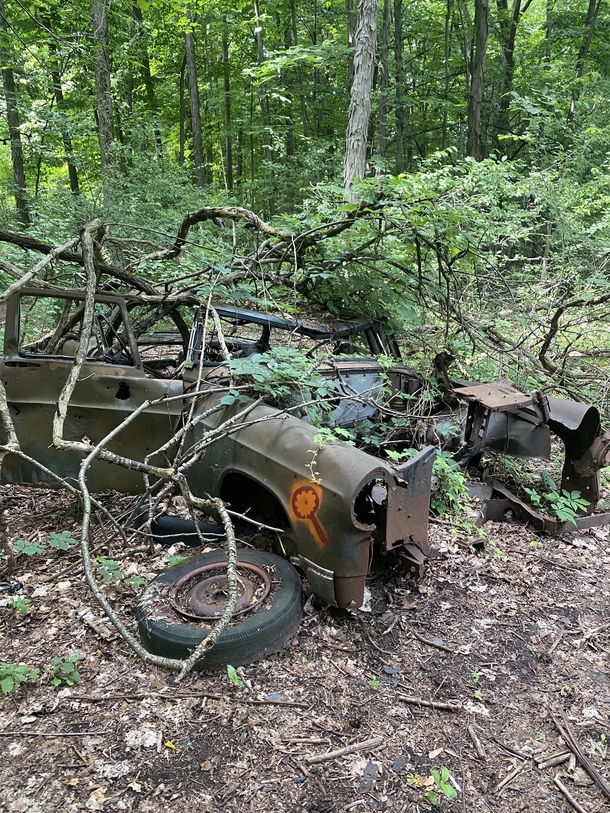 Found this abandoned car in a trailcan anyone ID the car