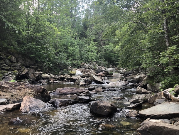 Found this beautiful secluded stream in Northern Vermont OC 