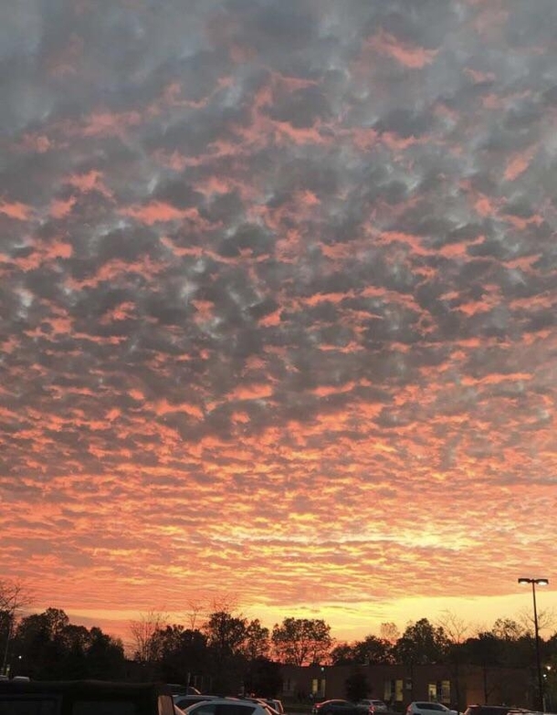 Found this in my camera roll from a while back Michigan sunrises hit different sometimes 