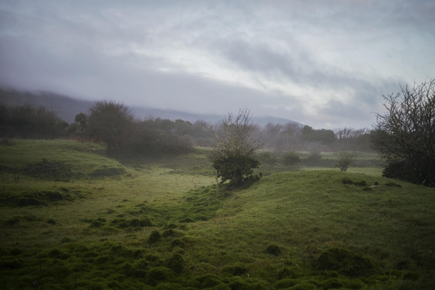 Found this otherworldly looking turlough while studying abroad in Ballyvaughn Ireland 