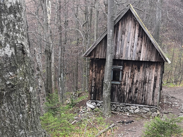 found this shack in the middle of the forest during my hike