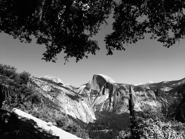 Framed by Nature Half Dome Yosemite 