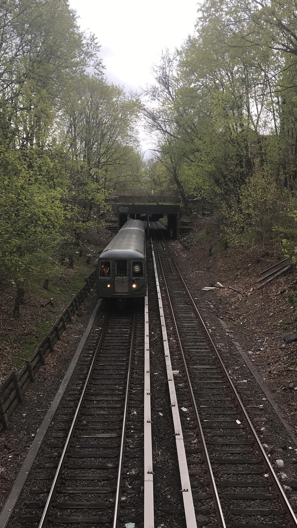 Franklin Shuttle - a bucolic subway line that runs through Central Brooklyn