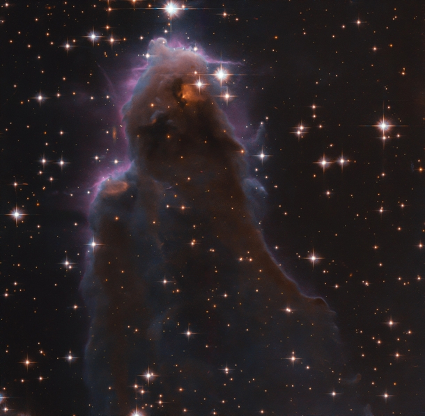 Free floating Evaporating Gaseous Globule frEGGs captured by Hubble
