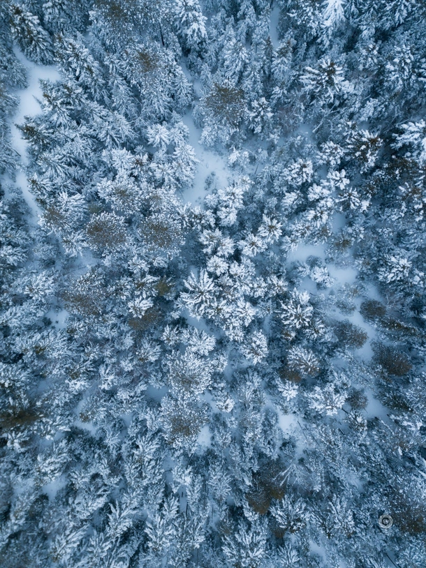 Freezer box - Winter in the Adirondack Mountains NY