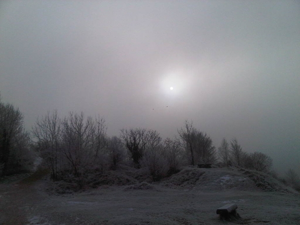 Freezing fog on Leckhampton Hill Cheltenham England 