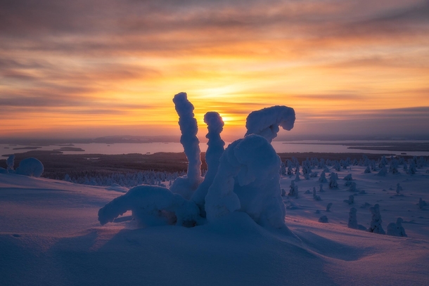 Freezing Sunrise Lapland Finland  Captured just before my camera stopped functioning due to the extreme cold  IG mpxmark