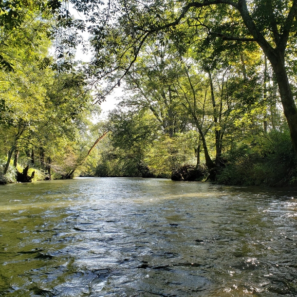 French Broad River Rosman North Carolina x Photorator