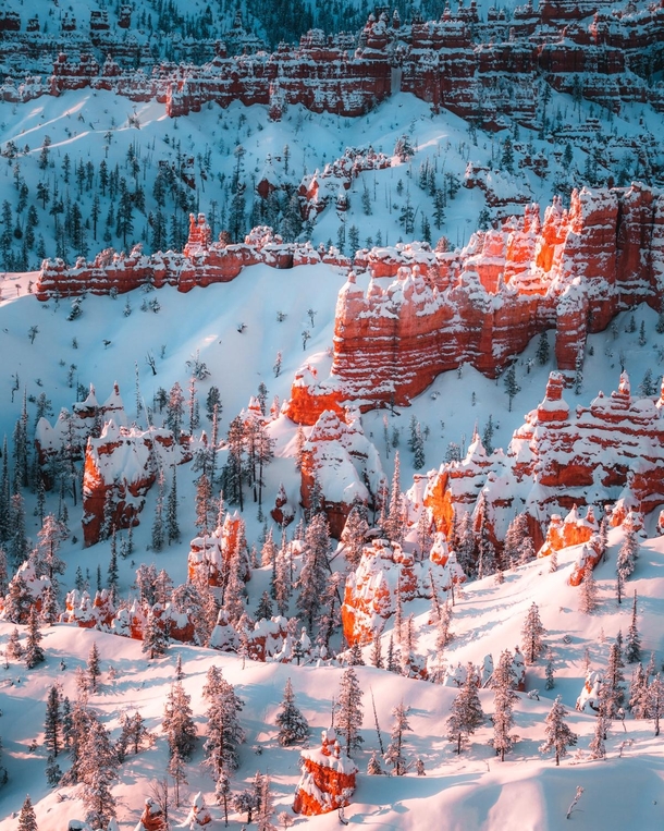Fresh morning snow Bryce Canyon National Park Utah 