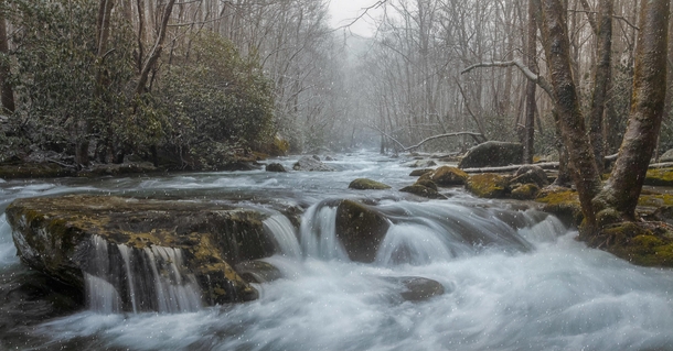 Fresh snowfall along the Little River in Elkmont- Great Smoky Mountains National Park 