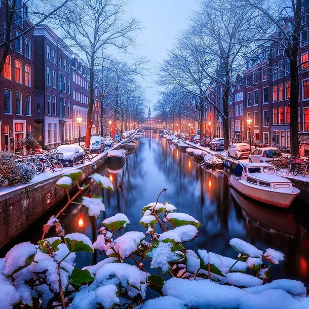 Fresh snowfall in Amsterdam