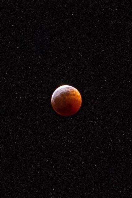 Friend took this nice photo of the Super Blood Wolf Moon Eclipse
