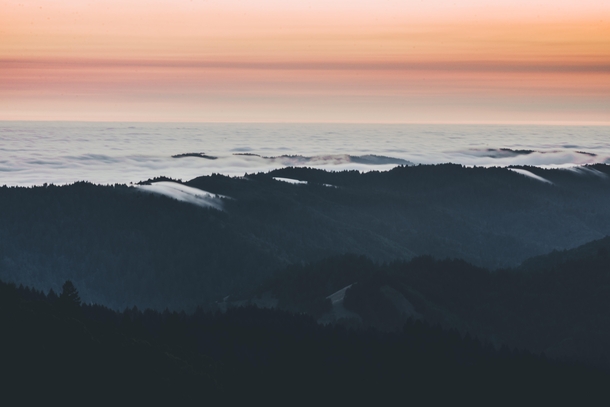 From a solitary view on Mount Tamalpais overlooking the sea OC