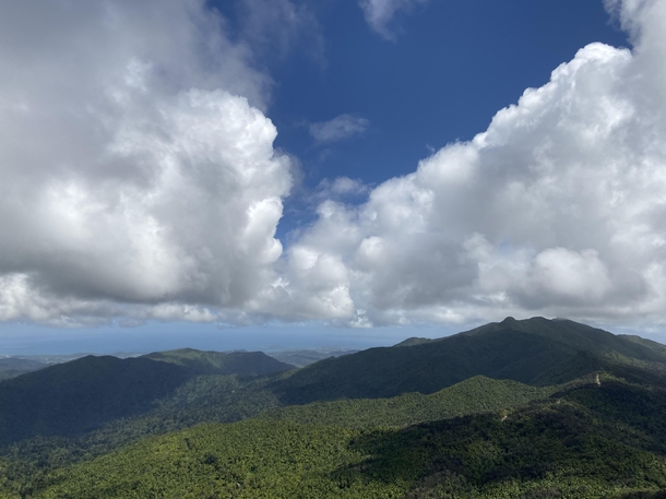 From Mt Britton Lookout Tower in El Yunque National Forest Puerto Rico  x