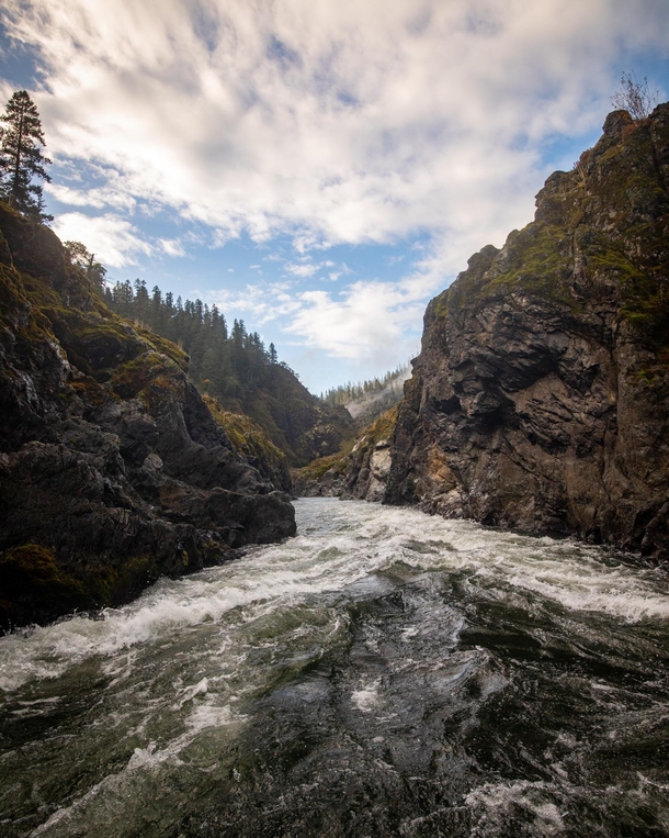 From the depths of Mule Creek Canyon Rogue River Oregon 
