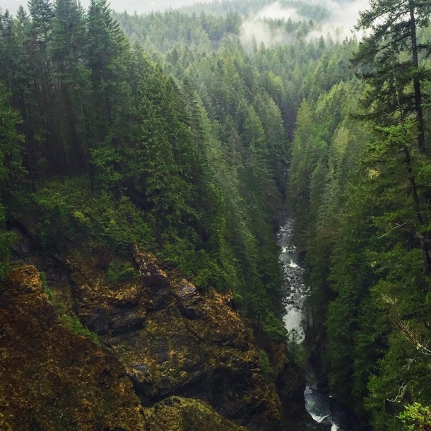 From the top of Wallace Falls Skykomish valley WA  x