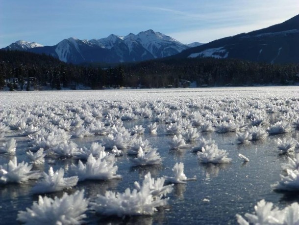 Frost flowers on Gun Lake in British Columbia 