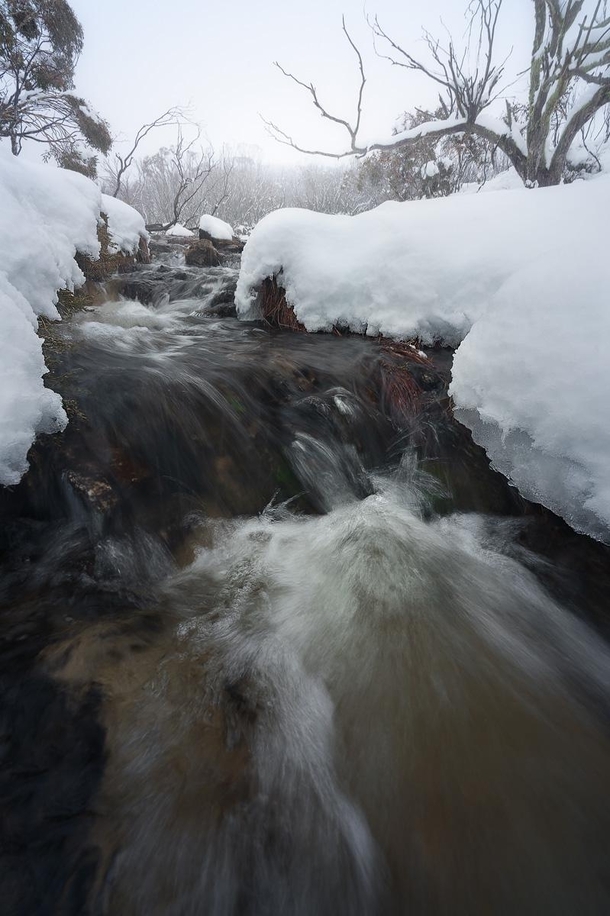 Frost  My toes are still numb from shooting this scene Kosciuszko National Park NSW Australia 