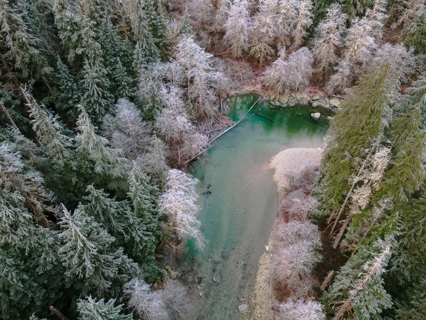 Frozen morning along a mountain river today Mount Baker-Snoqualmie National Forest WA  IG justlookadit