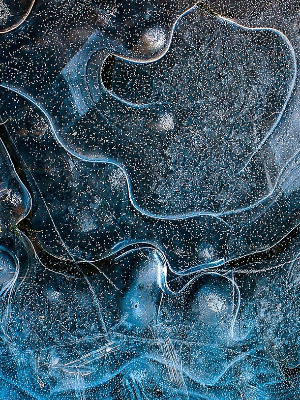 Frozen puddle of water with ice patterns and vibrant blue colour 