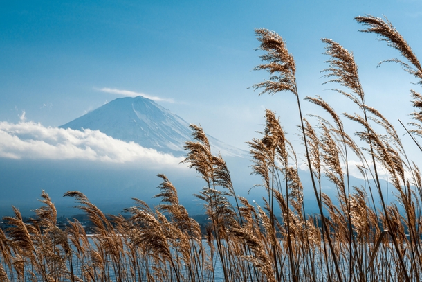 Fuji touches the sky - Japan  